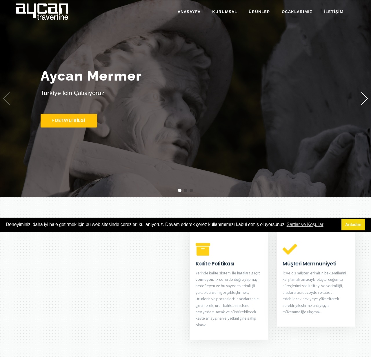 Aycan Memer Web Tasarım
