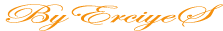 Furkan Erciyes Media Software